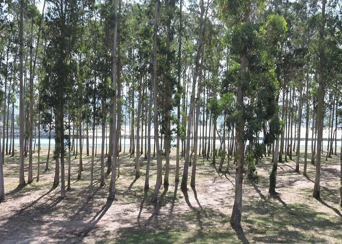 Pie De Playa, El Puntal-villaviciosa * Villaviciosa (Asturias)