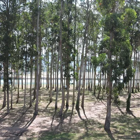 Pie De Playa, El Puntal-villaviciosa * 비야비시오사